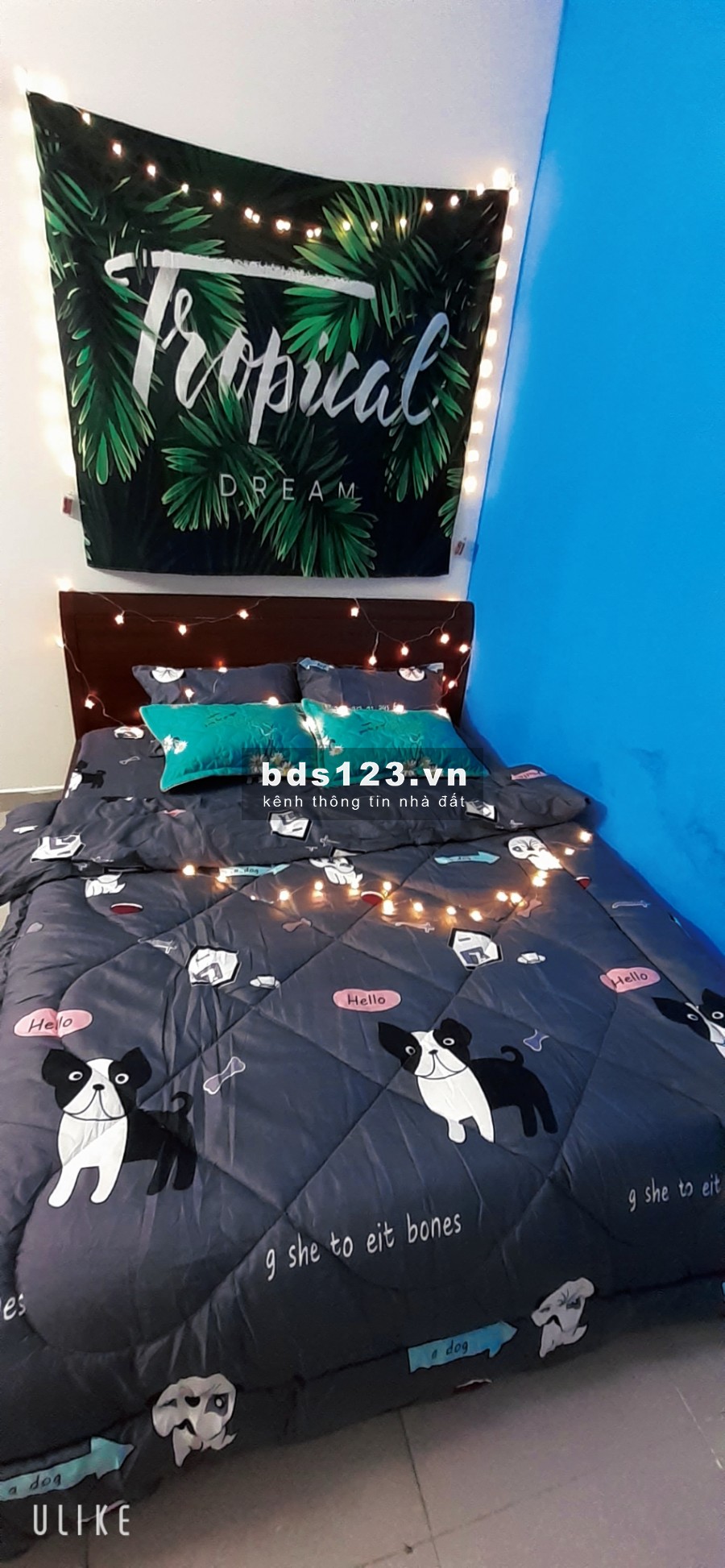 Căn hộ mini FULL nội thất, đối diện Lotte Mart Cộng Hoà, giá chỉ 3.5tr/th