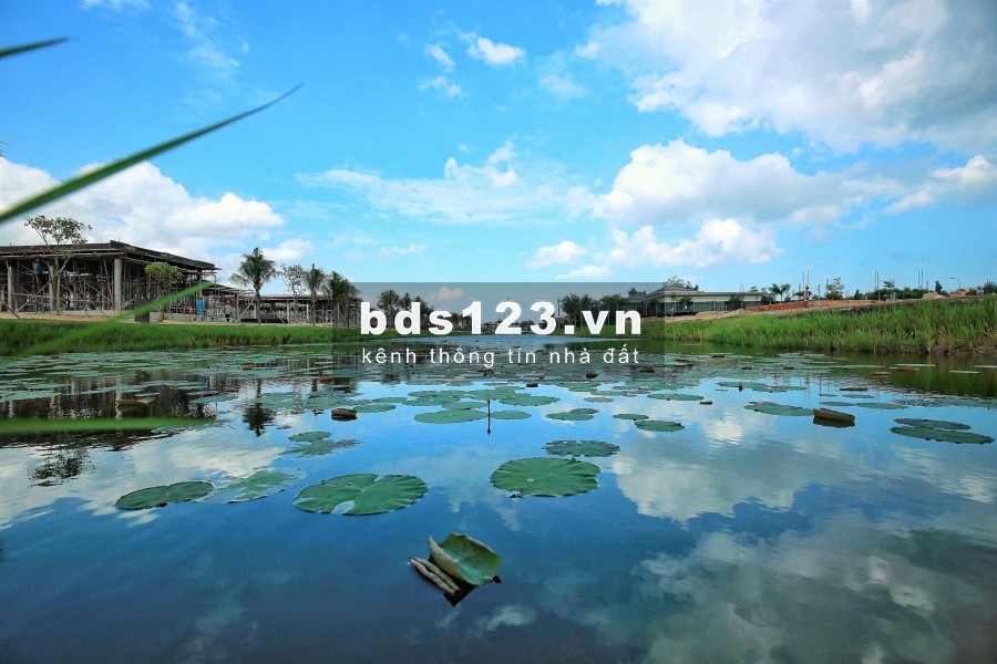 Biệt thự biển Coastar Estates cạnh Casino Hồ Tràm Strip, dt 1075m2 giá chỉ 8 tr/m2. lh 0912357447