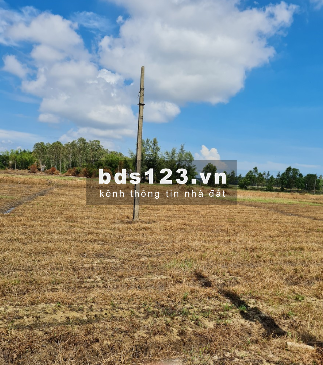 Bán đất KDC Tam bảo, Vinh Giang, Phú Lộc, Huế: Diện tích: 250m2 (10x25). Giá 415 triệu