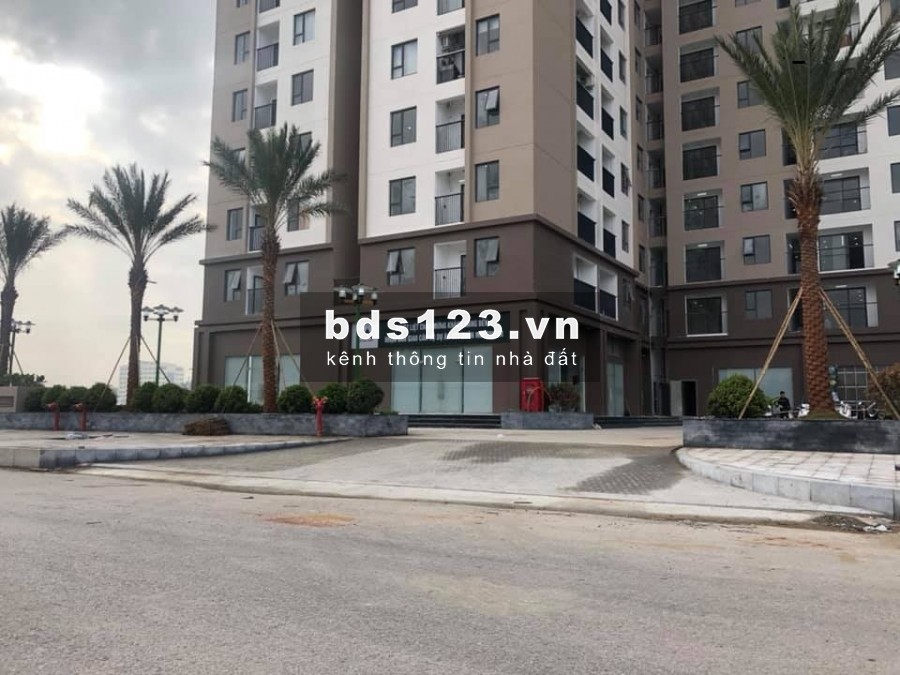 Cần bán căn hộ chung cư Xuân Mai Thanh Hóa 62m2, 2PN đầy đủ nội thất, về ở luôn