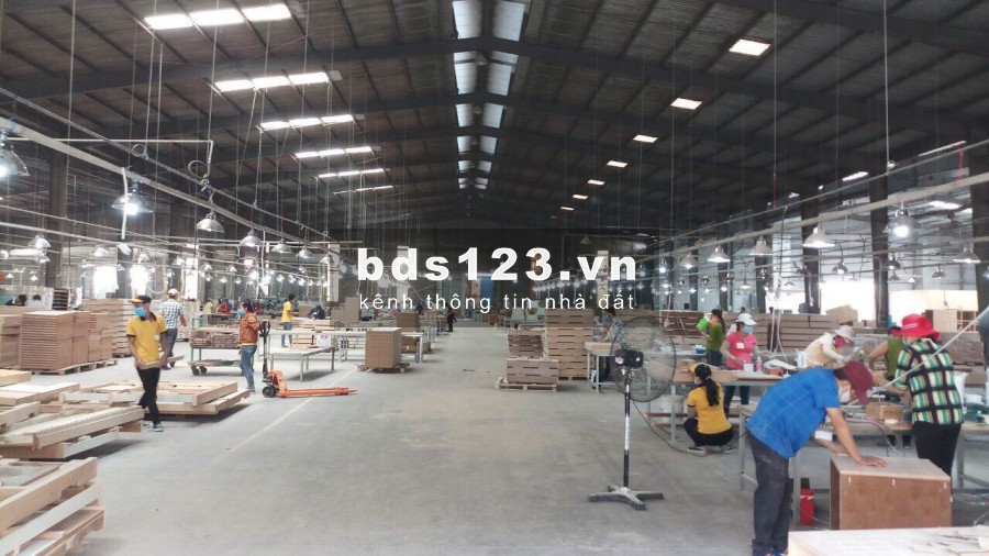 CHO THUÊ NHÀ XƯỞNG 3.000M2 CONTAINER 24H GIÁP NGUYỄN VĂN QUÁ, QL 1A