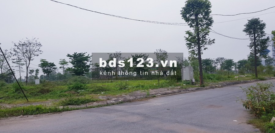 240m2 đất biệt thự b1.1 a2.5 bt2 thanh hà cienco 5 đường 17m đầu tư dự án