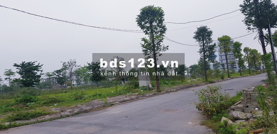 240m2 đất biệt thự b1.1 a2.5 bt2 thanh hà cienco 5 đường 17m đầu tư dự án