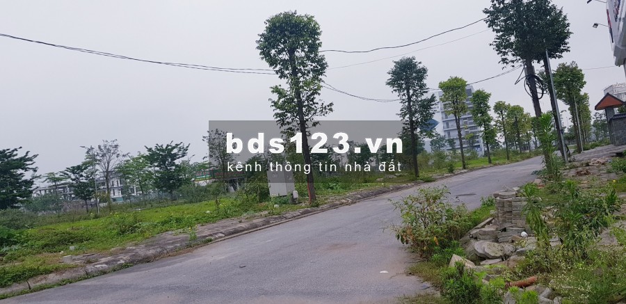240m2 đất biệt thự b1.1 a2.5 bt2 thanh hà cienco 5 đường 17m đầu tư dự án