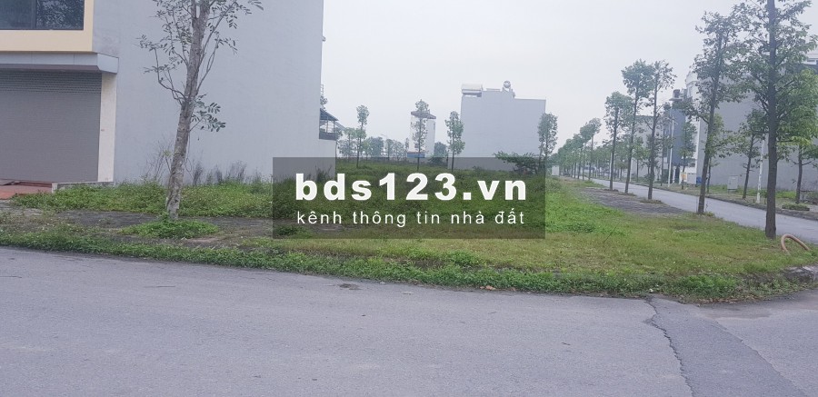 Biệt thự 200m2 b1.3 b1.4 bt4 bt14 Thanh Hà Cienco giá từ 21.5tr/m2 rẻ nhất dự án