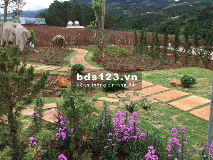 Nam Ban Villas Lâm Đồng - đất nền biệt thự liền kề Đà Lạt