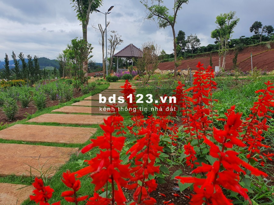 Nam Ban Villas Lâm Đồng - đất nền biệt thự liền kề Đà Lạt