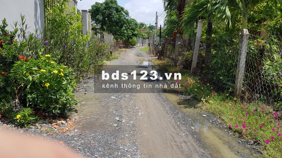 Bán đất đường Đoàn Nguyễn Tuấn, xã Hưng Long, huyện Bình Chánh 5x20 Thổ cư giá 1,6 tỷ