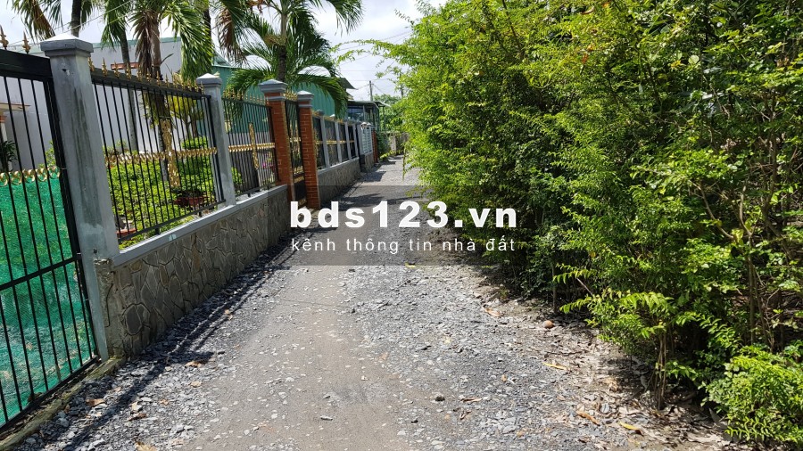 Bán đất đường Đoàn Nguyễn Tuấn, xã Hưng Long, huyện Bình Chánh 5x20 Thổ cư giá 1,6 tỷ