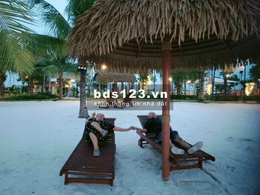 Căn hộ vinhomes chỉ cần thanh toán 450tr là có căn hộ và nhận nhà vào ở + voucher 200tr