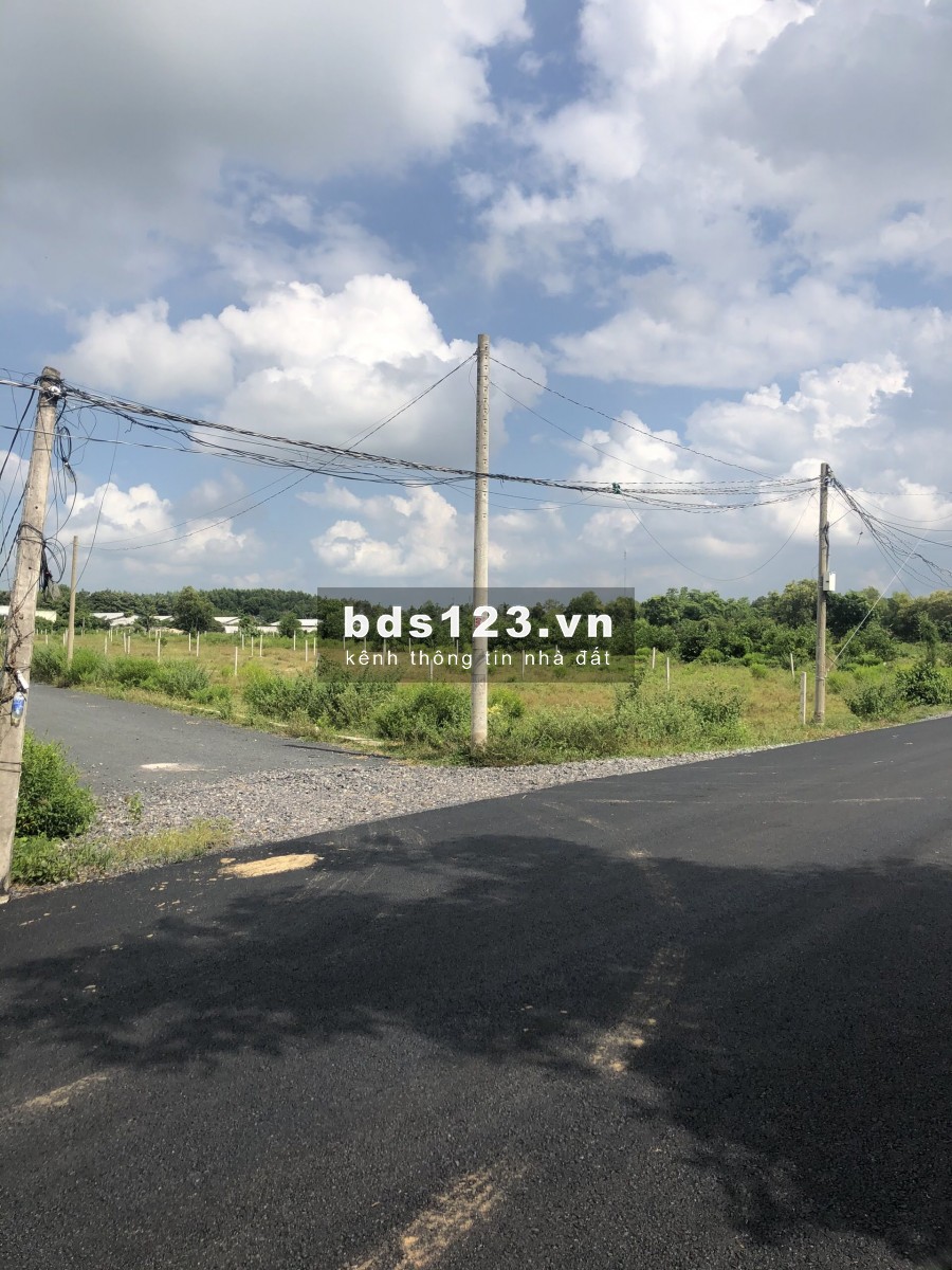 Bán lô đất 12X44 thổ cư 100m2, giá 4,7 triệu/m2 mặt đường nhựa 7m, ở Hồ Tràm Xuyên Mộc LH 0902651012