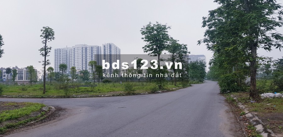 Báo giá 5 lô biệt thự chính chủ cần bán rất gấp giảm từ 3-5 giá bán kđt thanh hà cienco 5