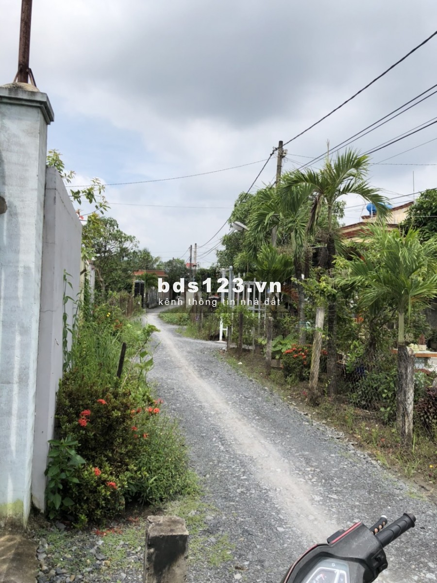 Bán đất đường Đoàn Nguyễn Tuấn, xã Hưng Long, huyện Bình Chánh 5x20 Thổ cư giá 1,6 tỷ