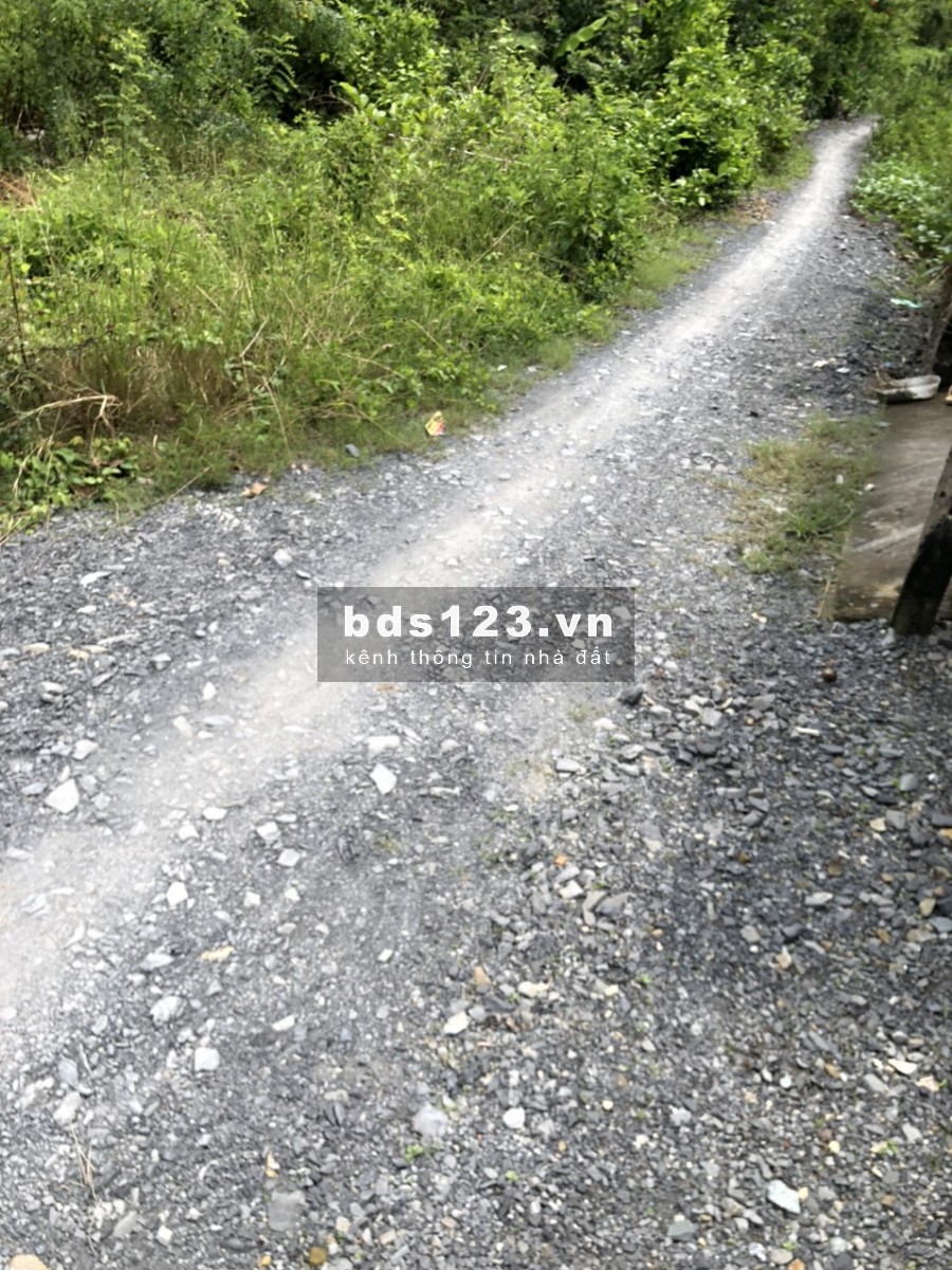 Bán đất đường Đoàn Nguyễn Tuấn, xã Hưng Long, huyện Bình Chánh 5x20 Thổ cư giá 1,6 tỷ