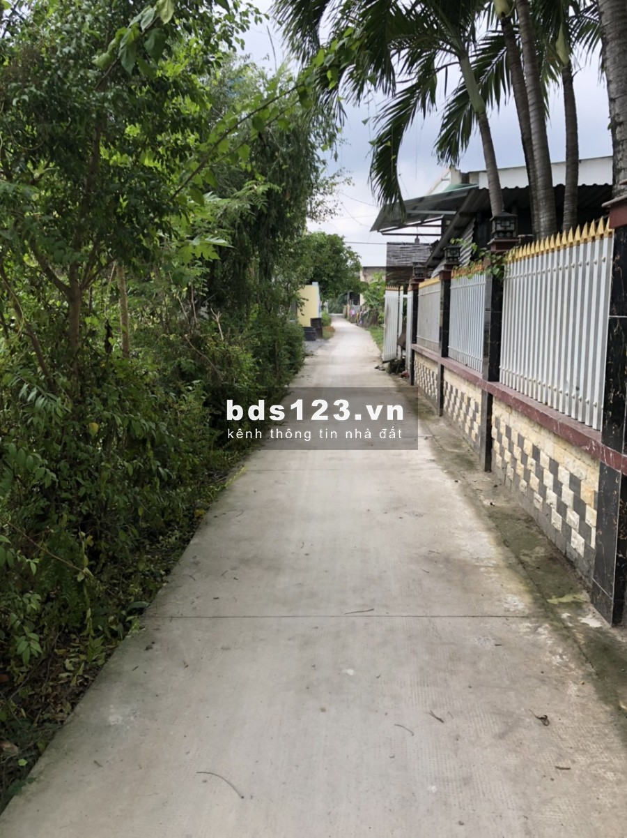 Bán đất đường Đoàn Nguyễn Tuấn, xã Hưng Long, huyện Bình Chánh 5x20 Thổ cư giá 1,6 tỷ