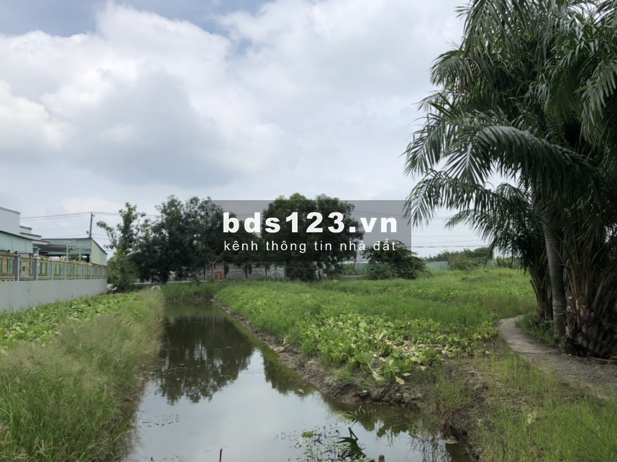 Bán đất 2 mặt tiền đường Hóc Hưu, Quy Đức, Bình Chánh. DT 566m2 ngang 12x48m, giá 1,8 tỷ SHR