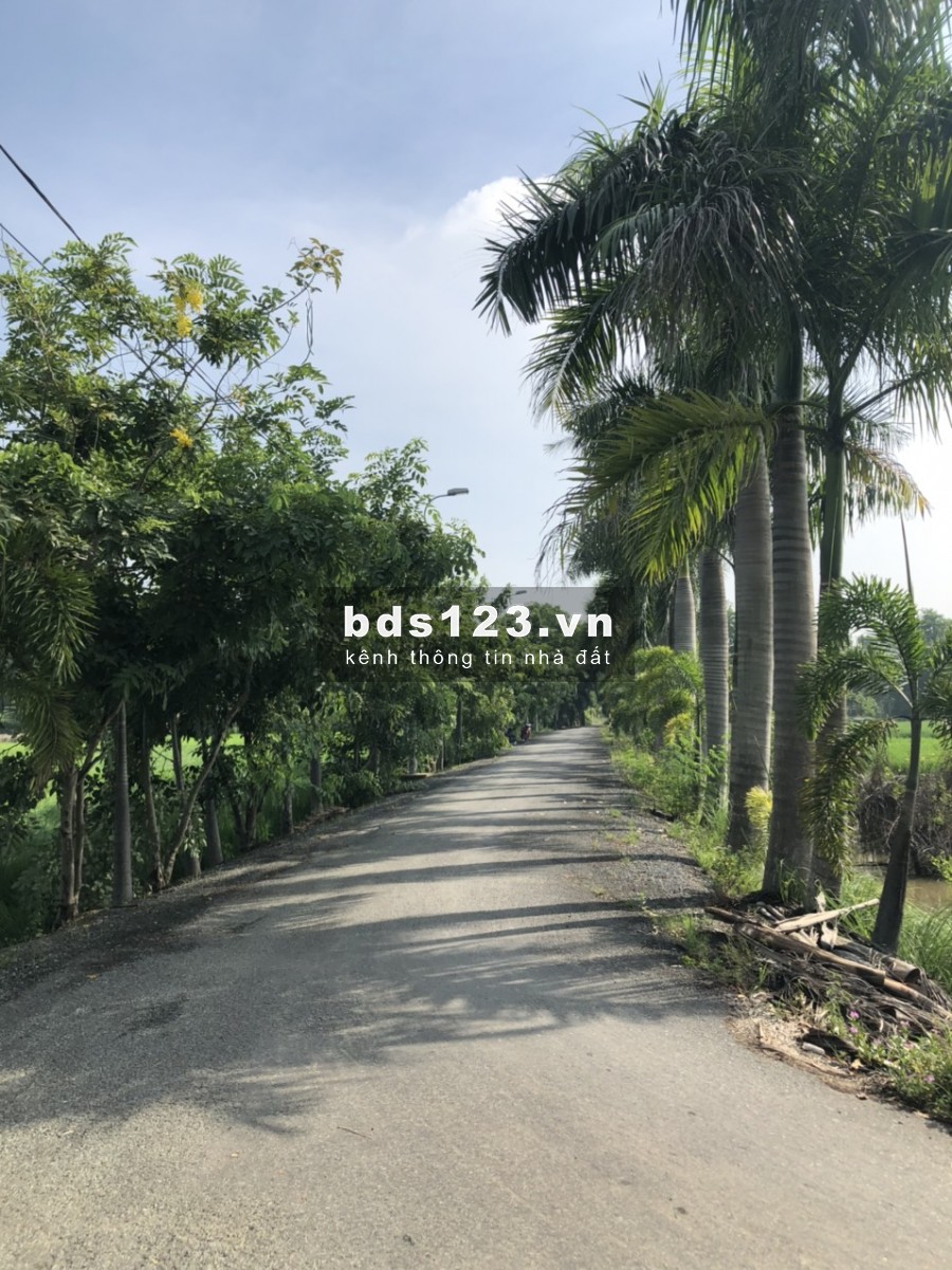 Bán gấp đất 2MT đường Võ Văn Thu, xã Hưng Long, BC, lô đất vuông vắn rất đẹp, DT 3080m2 3,2tr/m2