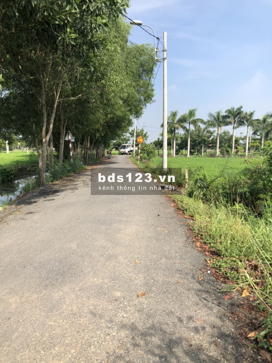 Bán gấp đất 2MT đường Võ Văn Thu, xã Hưng Long, BC, lô đất vuông vắn rất đẹp, DT 3080m2 3,2tr/m2