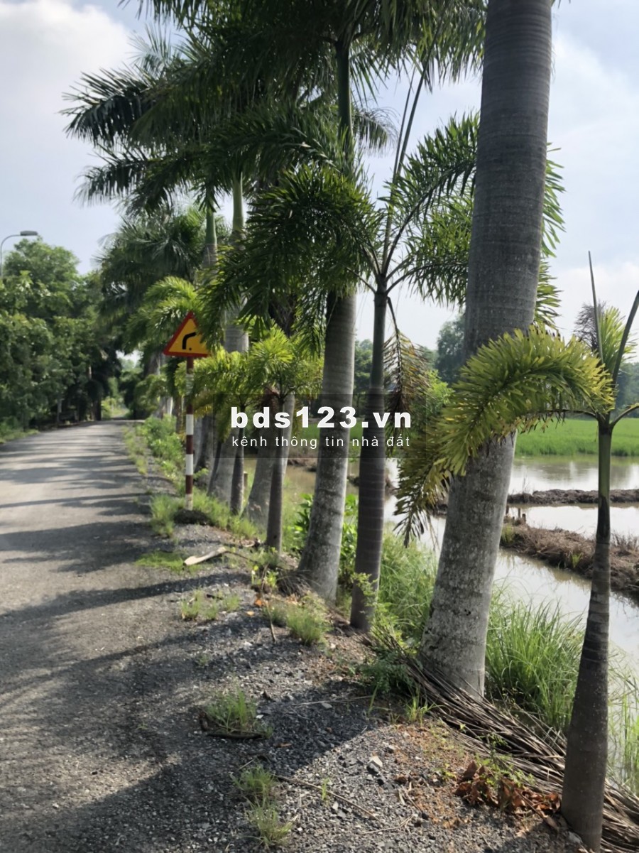 Bán gấp đất 2MT đường Võ Văn Thu, xã Hưng Long, BC, lô đất vuông vắn rất đẹp, DT 3080m2 3,2tr/m2