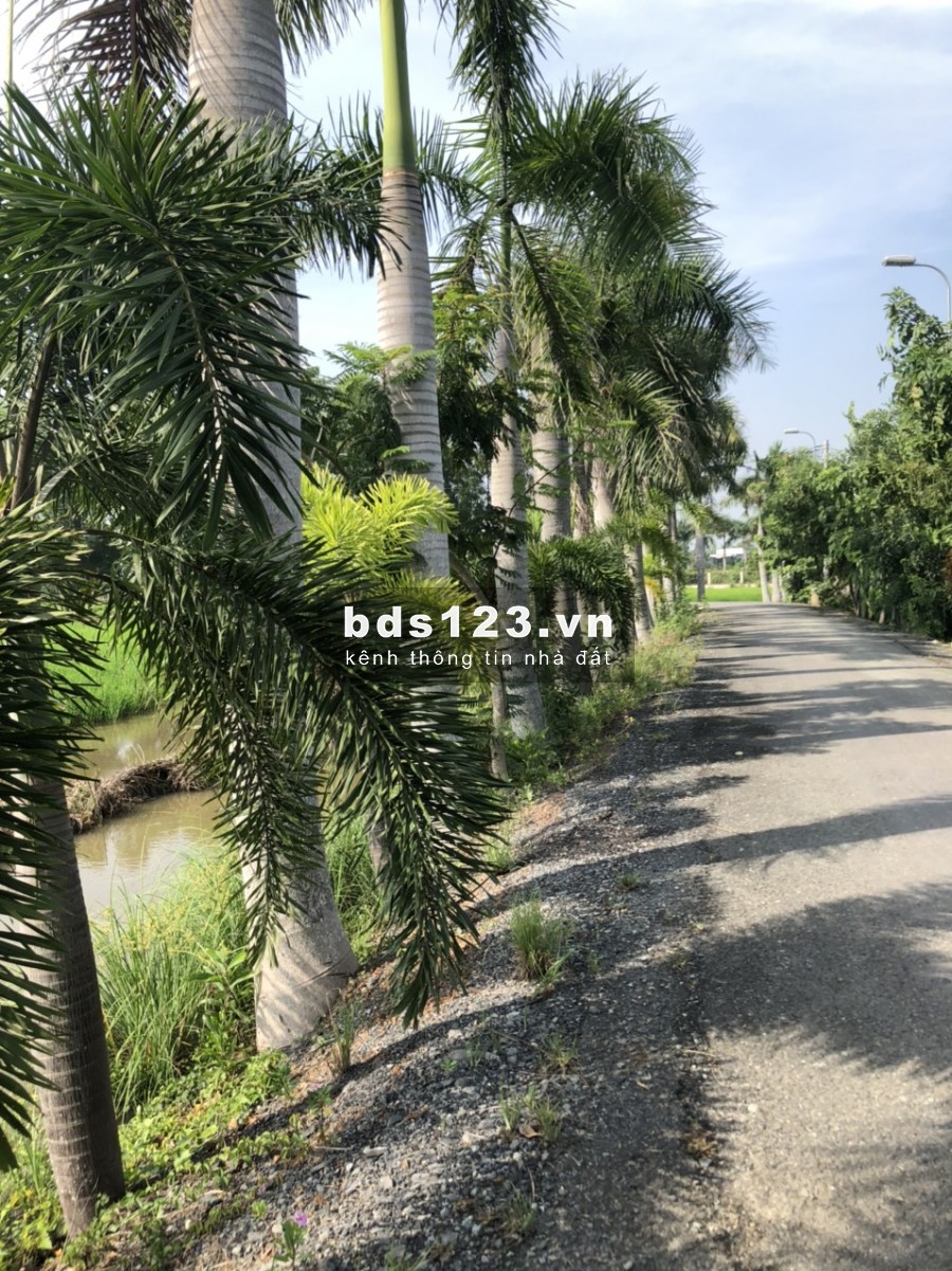 Bán gấp đất 2MT đường Võ Văn Thu, xã Hưng Long, BC, lô đất vuông vắn rất đẹp, DT 3080m2 3,2tr/m2