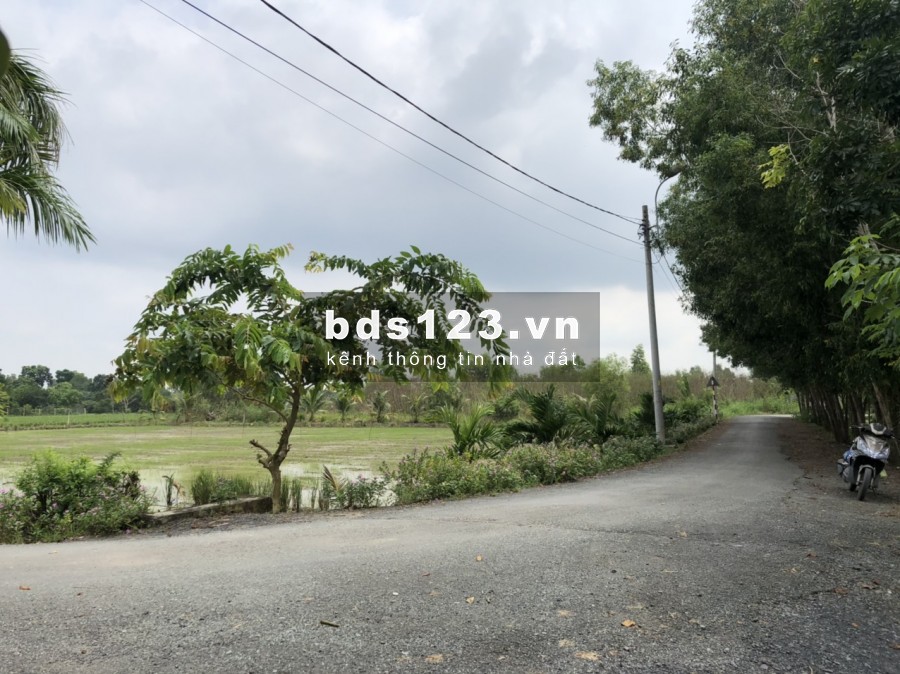 Bán gấp đất 2MT đường Võ Văn Thu, xã Hưng Long, BC, lô đất vuông vắn rất đẹp, DT 3080m2 3,2tr/m2