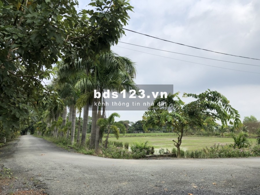 Bán gấp đất 2MT đường Võ Văn Thu, xã Hưng Long, BC, lô đất vuông vắn rất đẹp, DT 3080m2 3,2tr/m2