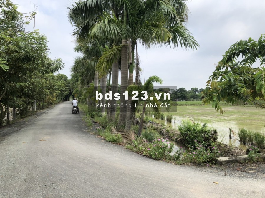 Bán gấp đất 2MT đường Võ Văn Thu, xã Hưng Long, BC, lô đất vuông vắn rất đẹp, DT 3080m2 3,2tr/m2
