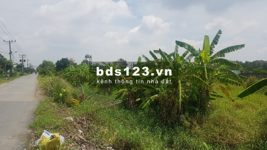 Bán đất mặt tiền đường Quy Đức xả Quy Đức Huyện Bình Chánh giá 3,9tr/m2 mặt tiền 40m