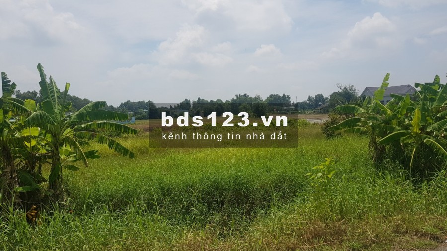 Bán đất mặt tiền đường Quy Đức xả Quy Đức Huyện Bình Chánh giá 3,9tr/m2 mặt tiền 40m