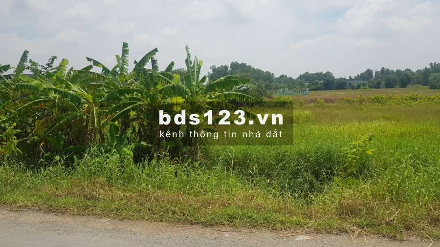 Bán đất mặt tiền đường Quy Đức xả Quy Đức Huyện Bình Chánh giá 3,9tr/m2 mặt tiền 40m