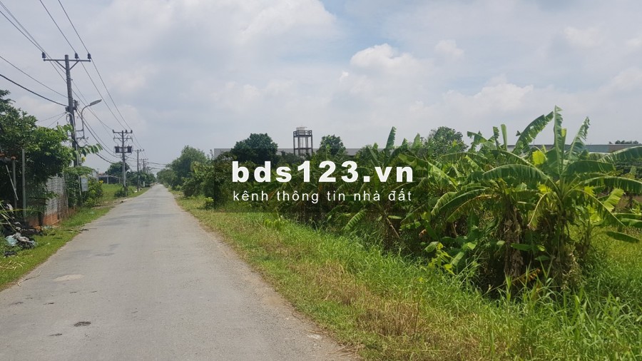Bán đất mặt tiền đường Quy Đức xả Quy Đức Huyện Bình Chánh giá 3,9tr/m2 mặt tiền 40m