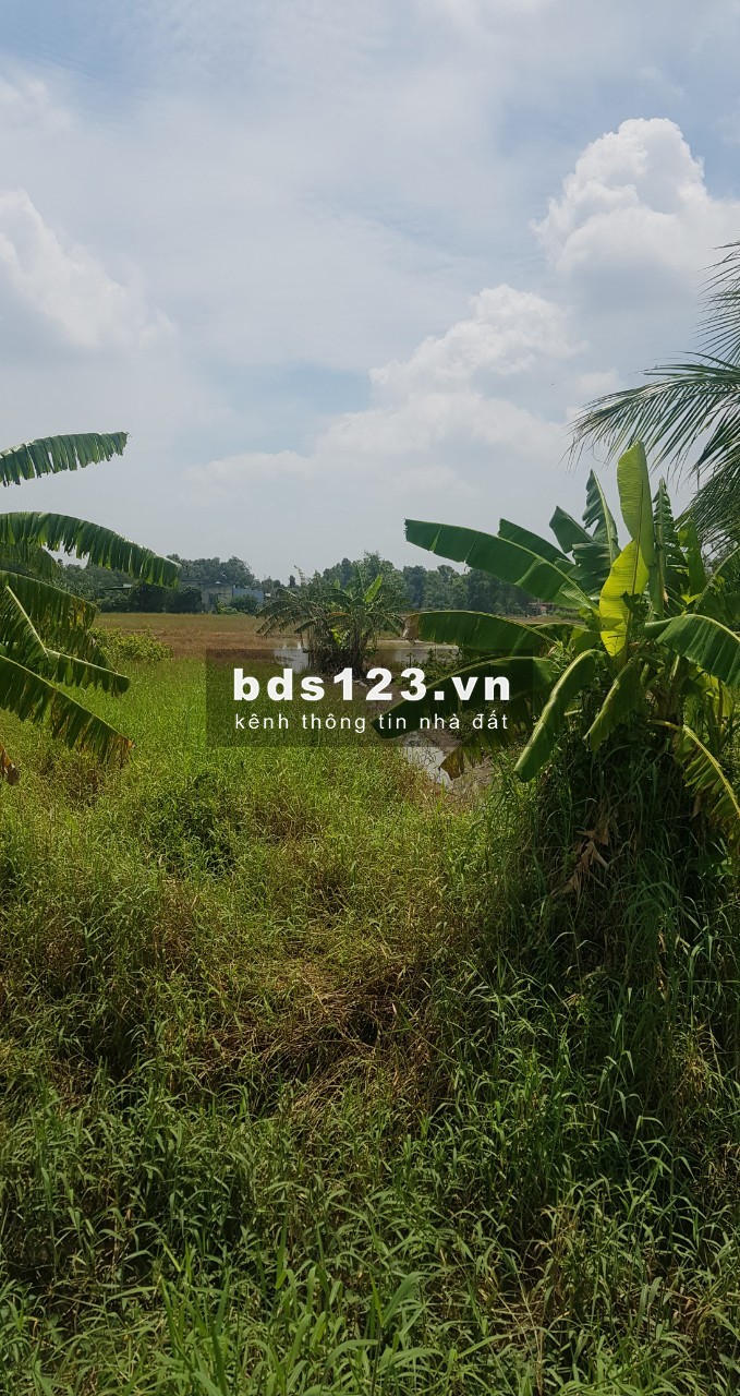 Bán đất mặt tiền đường Quy Đức xả Quy Đức Huyện Bình Chánh giá 3,9tr/m2 mặt tiền 40m