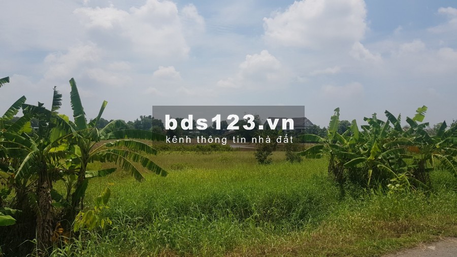 Bán đất mặt tiền đường Quy Đức xả Quy Đức Huyện Bình Chánh giá 3,9tr/m2 mặt tiền 40m