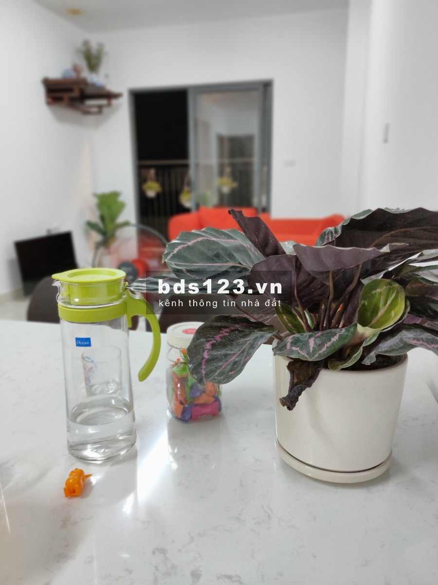 CHO THUÊ CC ECOHOME 3: 2PN (70M2), FULL ĐỒ, GIÁ 5 TRIỆU/THÁNG (LH:096.344.6826)