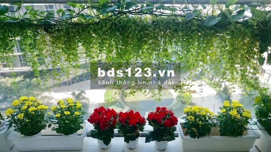 Bán căn hộ Sài Gòn Airport Plaza 3PN dt 156m2 view toàn cảnh sân bay giá chỉ 6,5 tỷ