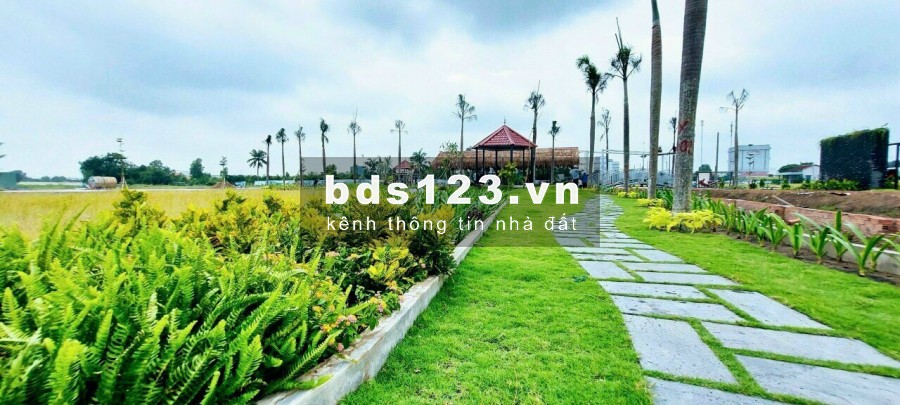 Đất nền giá rẻ Khu vực Bình Chánh, view đẹp, SHR sang tên ngay