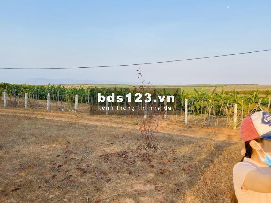 Bán đất ngay xã Hòa Thắng, cách KDL Bàu Trắng 3km, mặt tiền đường DT715