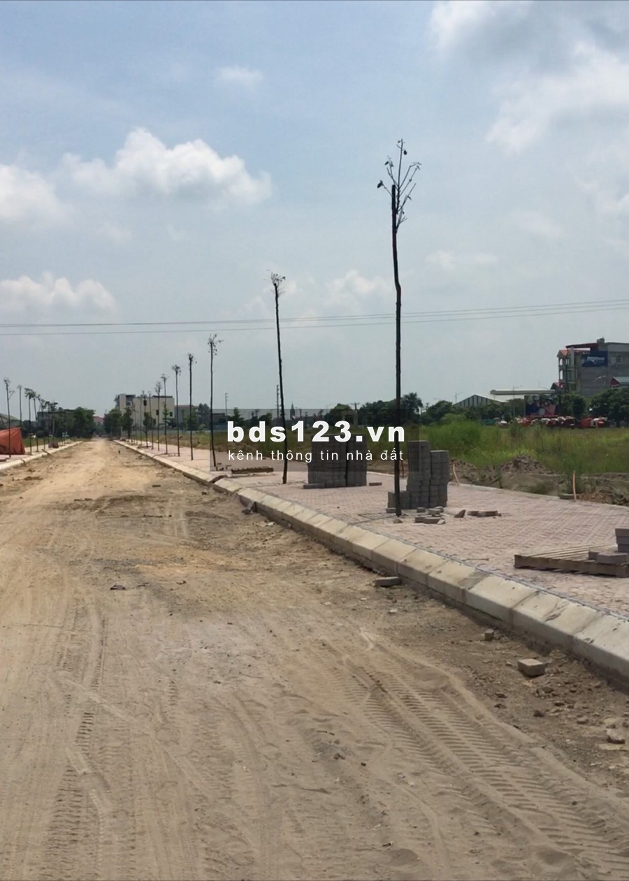 Bán đất nền dự án khu đô thị Thuận Thành 3 Gía tốt