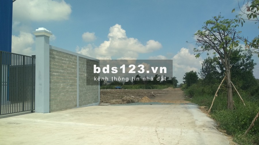 CHO THUÊ NHÀ XƯỞNG MỚI 4.300M2 ĐƯỜNG TRẦN ĐẠI NGHĨA, BÌNH CHÁNH, GIÁP KCN LÊ MINH XUÂN