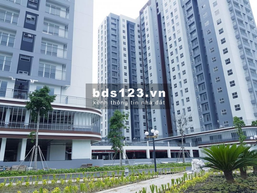 Bán căn hộ 50m2 chung cư Conic Riverside Quận 8. Giá 1.60 tỷ, nhận nhà ở liền.