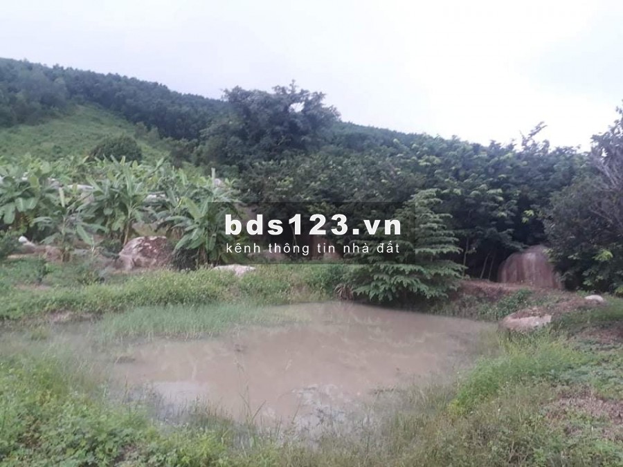 sang nhượng lại lô đất trại ninh hưng tx ninh hòa