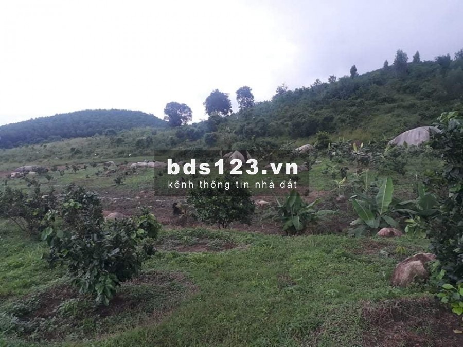 sang nhượng lại lô đất trại ninh hưng tx ninh hòa