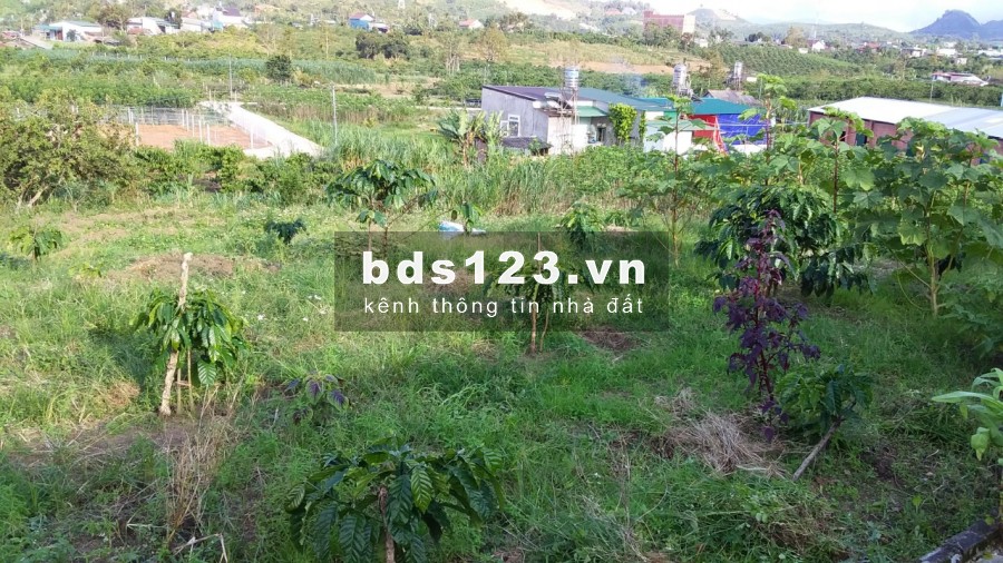 Bán đất Đại Lào Bảo Lộc 2030m2 thổ Cư cách QL 20 chỉ 800m.