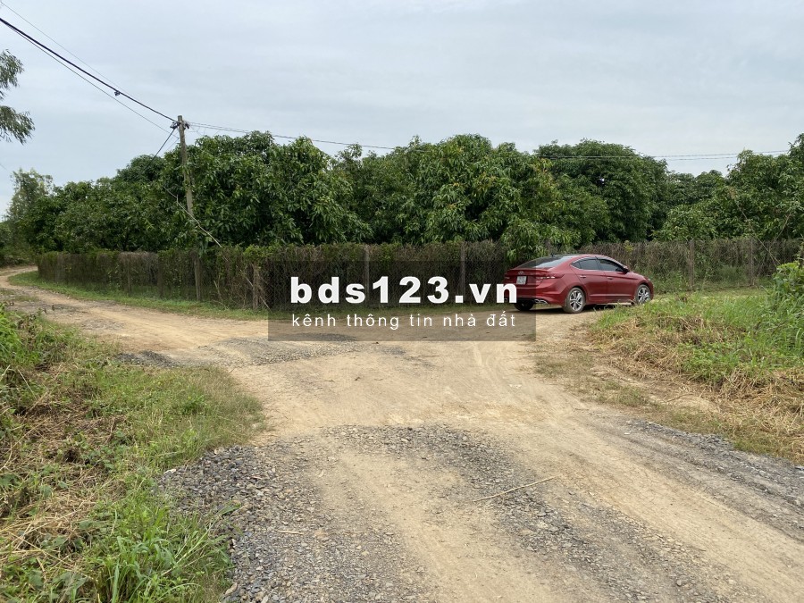 Chủ nhà kẹt tiền nên cần bán nhanh lô đất 1200m2 giá 495tr/sao SHR ở Định Quán, đồng nai.