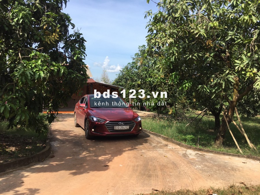 Chủ nhà kẹt tiền nên cần bán nhanh lô đất 1200m2 giá 495tr/sao SHR ở Định Quán, đồng nai.