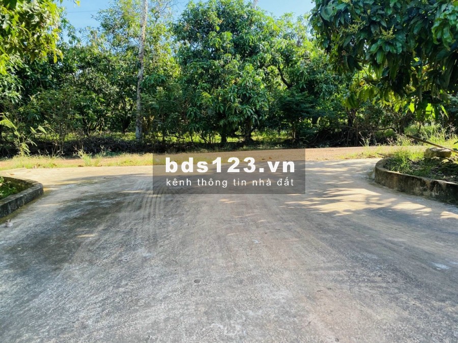 Chủ nhà kẹt tiền nên cần bán nhanh lô đất 1200m2 giá 495tr/sao SHR ở Định Quán, đồng nai.