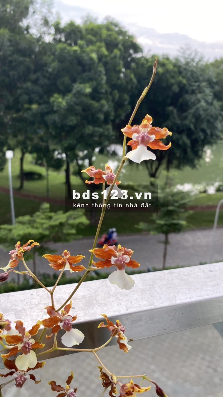 bán gấp chung cư giá rẻ celadon quận tân phú, 2PN + 2WC + 900tr vào ở ngay.