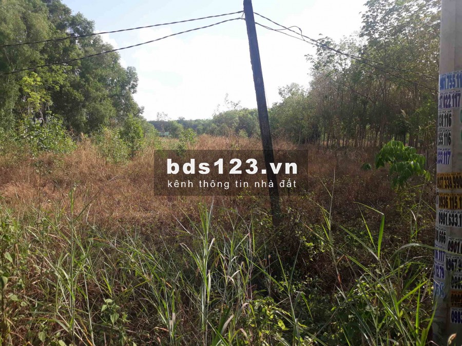 Bán đất có sổ hồng chính chủ giáp Bến Cát Bình Dương