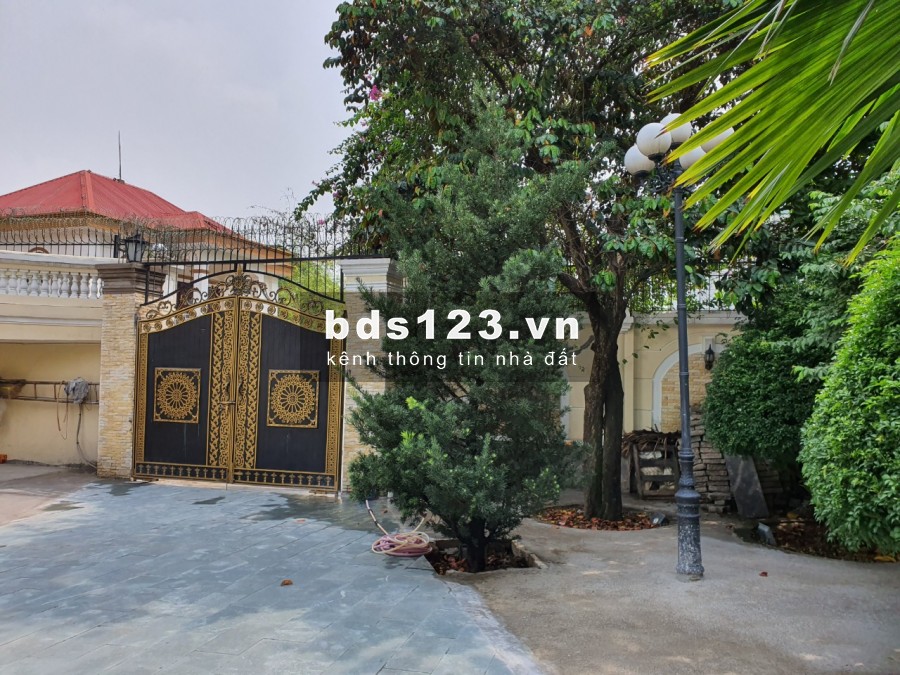 Cho thuê Villa cổ điển Pháp Hồ bơi sân vườn 1155m2 Nguyễn Ư Dĩ Thảo điền Quận 2 MS: