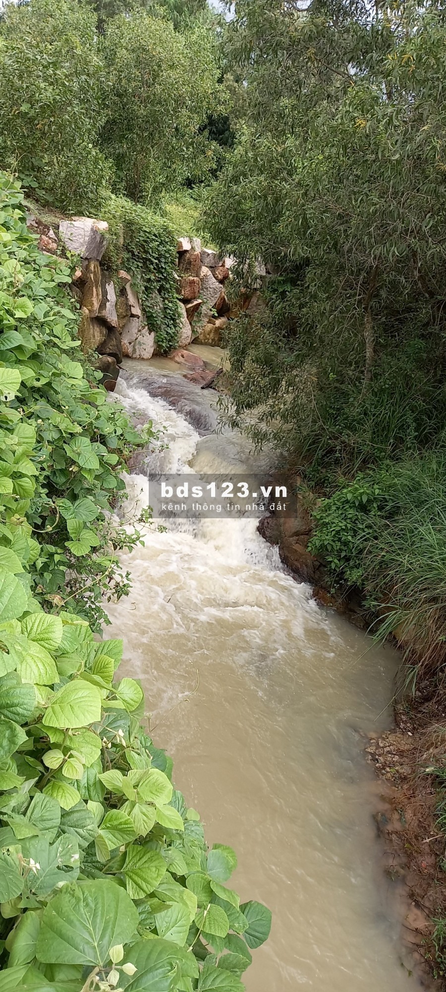 Bán nhanh lô đất 519m2 sát bên khu du lịch Núi Dinh, view Núi, suối và hồ nước ngọc bích